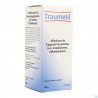 Traumeel Druppels 100ml Heel