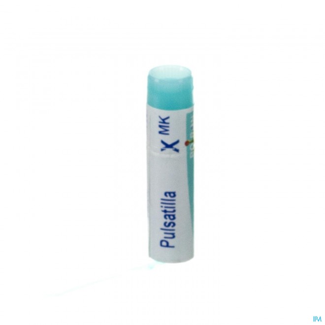 Pulsatilla Xmk Gl Boiron