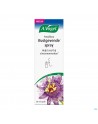 A.Vogel Passiflora Spray Apaisant 20ml
