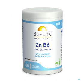 Zn B6 Magnum Minerals Be Life Gel 60