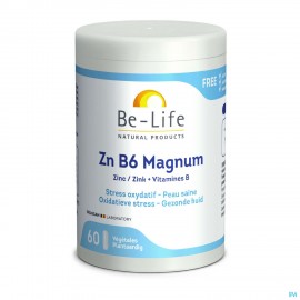 Zn B6 Magnum Minerals Be Life Gel 60