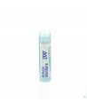 Arnica Montana 200k Gr 4g Boiron