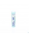 Arnica Montana 200k Gr 4g Boiron