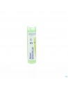Kalium Bichromicum 5ch Gr 4g Boiron