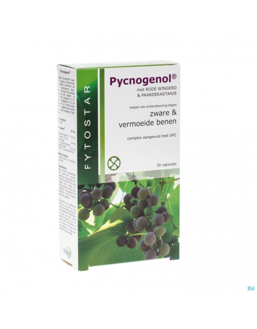 Fytostar Pycnogenol Caps 30 7587