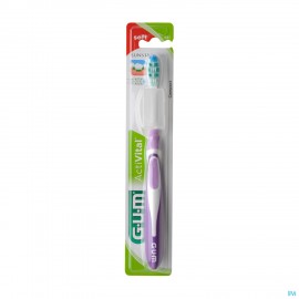 Gum Activital Comp Brosse Dents Soft 581