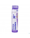 Arnica Montana 30ch Gl Boiron