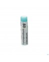 Lycopodium Clavatum 9ch Gl Boiron