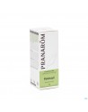 PRANAROM PATCHOULI HE 2392 5ML - online bestellen
