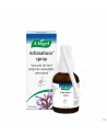 Vogel Echinaforce Spray Gorge 30ml