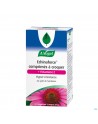 A.Vogel Echinaforce + Vit C Kauwtabletten 
