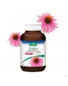 A.Vogel Echinaforce + Vit C Kauwtabletten 