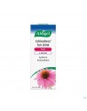 Vogel Echinaforce Hot Drink Siroop 100ml