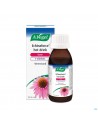 Vogel Echinaforce Hot Drink Siroop 100ml
