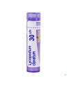 Lycopodium Clavatum 30k Gr 4g Boiron
