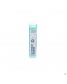 Lycopodium Clavatum 30k Gr 4g Boiron