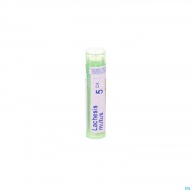 Lachesis Mutus 5ch Gr 4g Boiron