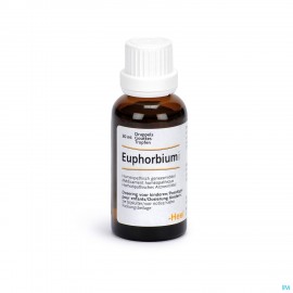 Heel euphorbium compositum spray nasal 20 ml nm