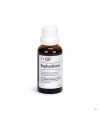 Heel euphorbium compositum spray nasal 20 ml nm