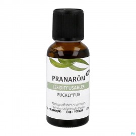 Les Diffusables Eucalypur Meng. Verstuiving 30ml