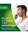 Nicorette Mint Mondspray 2x150 Sprays 1mg/spray