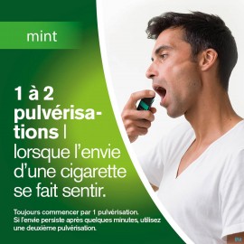 Nicorette Mint Spray Buccal 1x150 Sprays 1mg/spr.