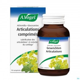 Vogel Alchemilla + Glucosamine Comp 90