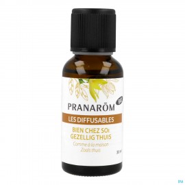 Les Diffusables Bio Gezellig Thuis 30ml