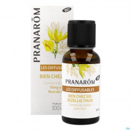Les Diffusables Bio Gezellig Thuis 30ml