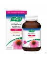Vogel Echinaforce Forte + Vitamine C Comp 100