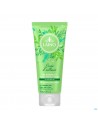 Laino Douchegel 3in1 Groene Thee Tube 200ml