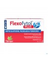 Flexofytol Plus Caps 56