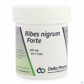 Ribes Nigrum V-caps 60 Deba