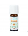 Puressentiel Eo Kruidnagel Bio Expert Ess Olie 5ml