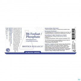 B6 Phosphate Biotics Comp 100