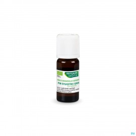Phytosun pin sylvestre bio huile essentielle 5 ml