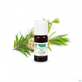 Phytosun niaouli bio huile essentielle 10 ml