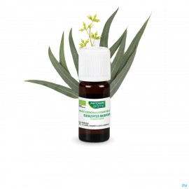 Phytosun eucalyptus radiata hle ess 10ml