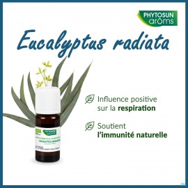 Phytosun eucalyptus radiata hle ess 10ml