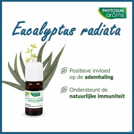 Phytosun eucalyptus radiata hle ess 10ml