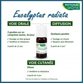 Phytosun eucalyptus radiata hle ess 10ml