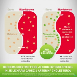 Arterin Cholesterol Comp 45