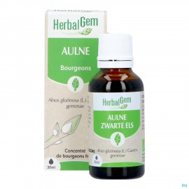 Herbalgem Aulne Glut Bio 30ml