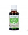 Herbalgem Aulne Glut Bio 30ml
