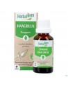 Herbalgem Haagbeuk Bio 30ml