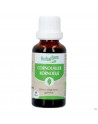 Herbalgem Cornouill Bio 30ml