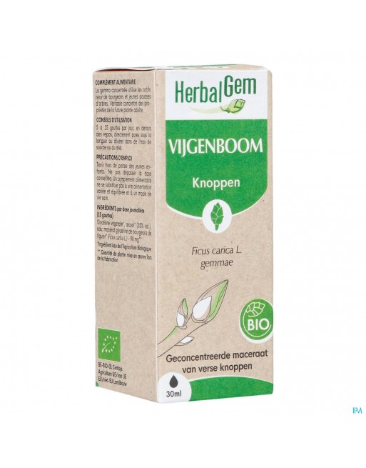 Herbalgem Vijgenboom Bio 30ml