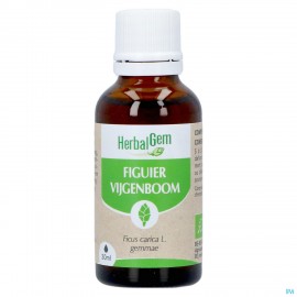 Herbalgem Vijgenboom Bio 30ml