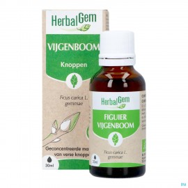 Herbalgem Vijgenboom Bio 30ml