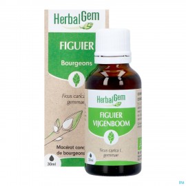 Herbalgem Vijgenboom Bio 30ml